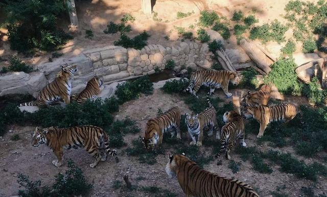 不去動物園就去安大略科學中心——多倫多旅行十天日記Day9