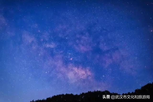 你好，珞珈山的夏天……