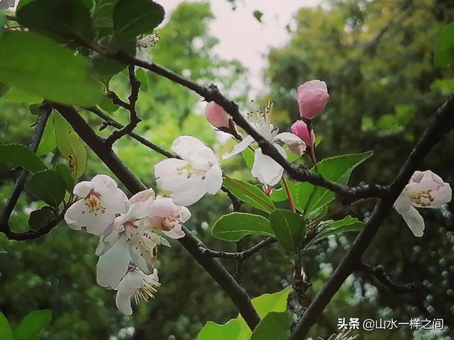谁不喜欢春天的美好，谁不愉悦春天的微笑