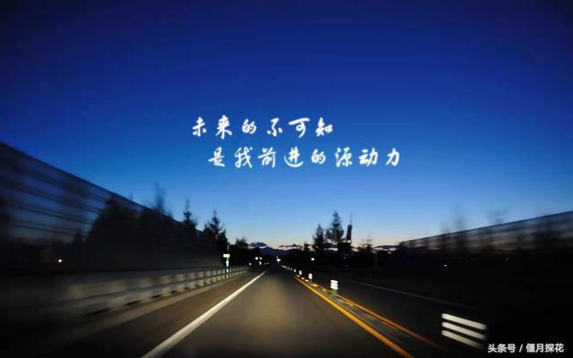 情感文：坎坷人生路，风雨觅与寻