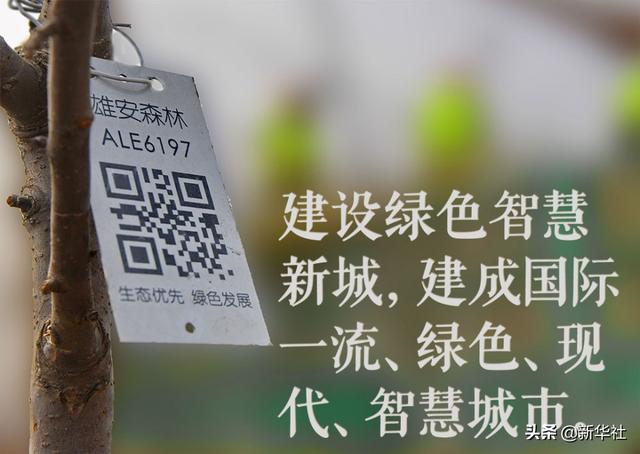 镜观·领航丨雄安新区这五年
