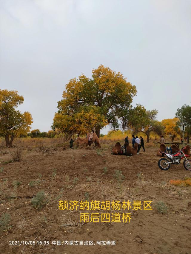西行漫記之10月5日內蒙古篇