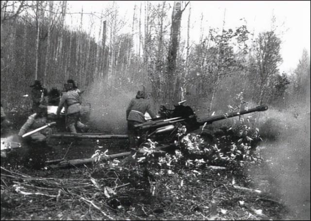 1969年，苏联试图侵占中国领土，我国是如何应对的？