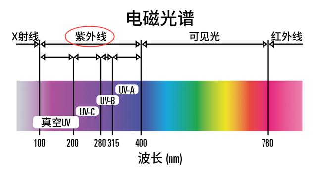 4男4女曾进行封闭空间实验，却发现，我们一直被“困”在地球？