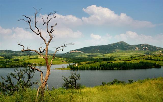 五一小长假能不能出市旅游，盘点济宁各景区五一出游政策