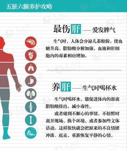 五脏六腑养护攻略一览表，十分实用，值得收藏