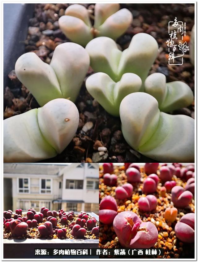 桂林滚筒式洗砂机厂家