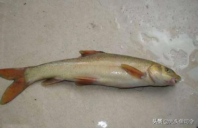 泉州青石制砂机器厂家