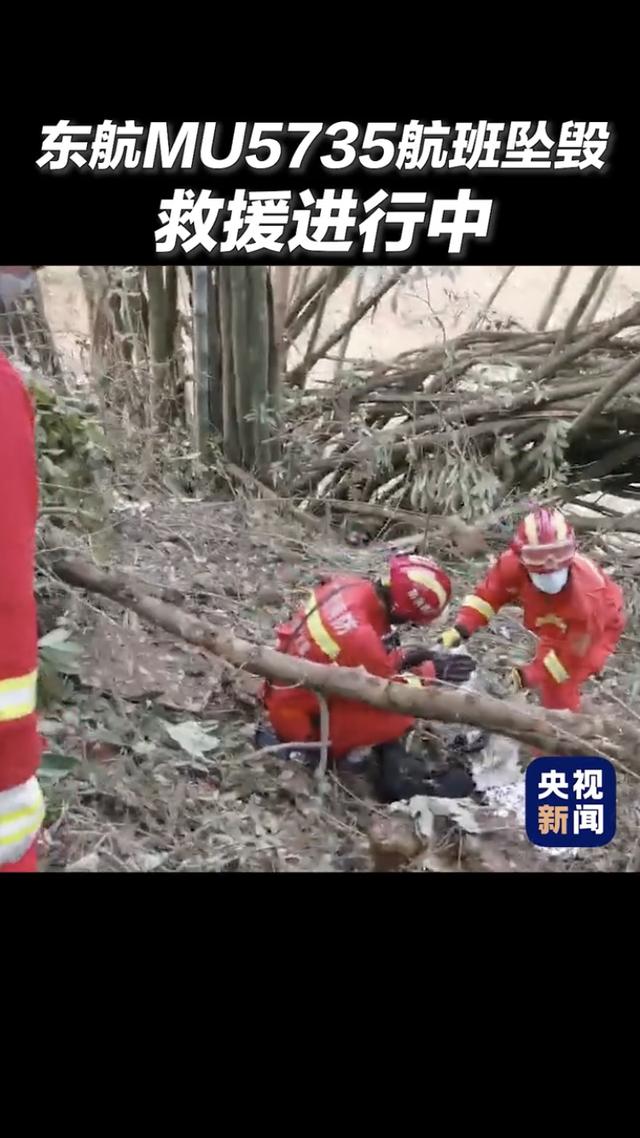 致命航班致命航班电影观看