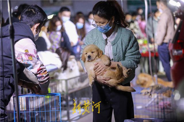 热闹！直击环联夜市恢复营业第一天