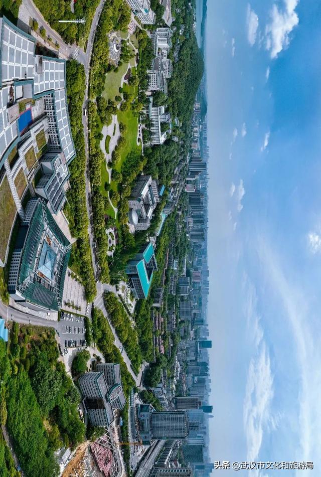 你好，珞珈山的夏天……