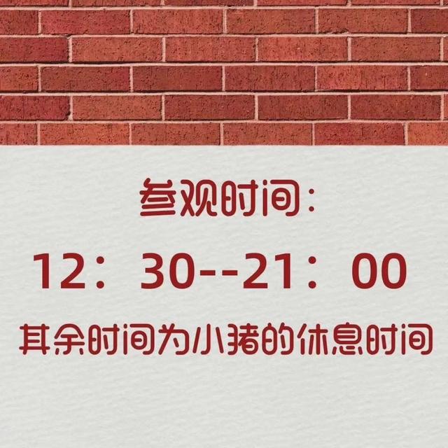 [云端畅享云修改微信运动步数]，微信怎么设置背景墙不给别人看