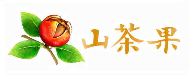 秋冬高发，宝宝外出支招