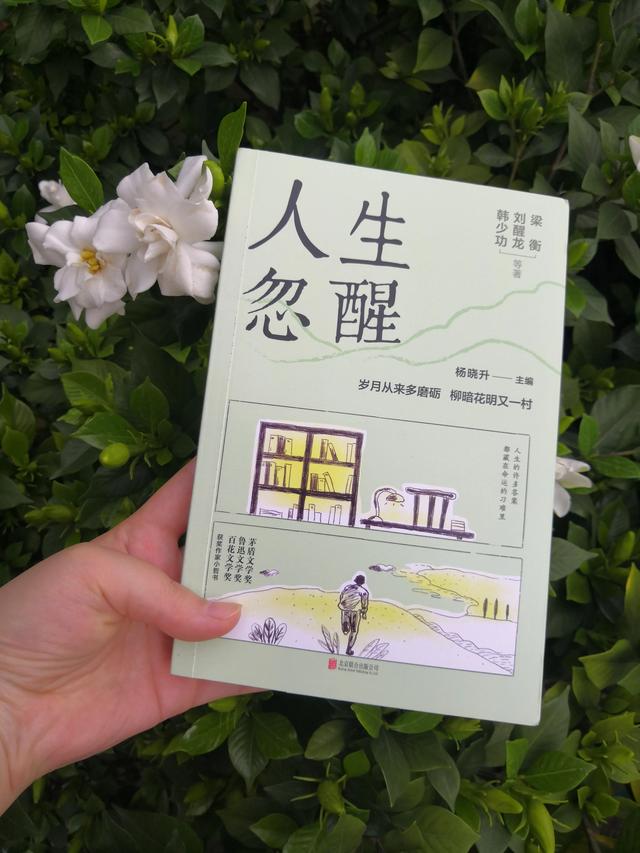 总有一些文章会为你点亮黑暗