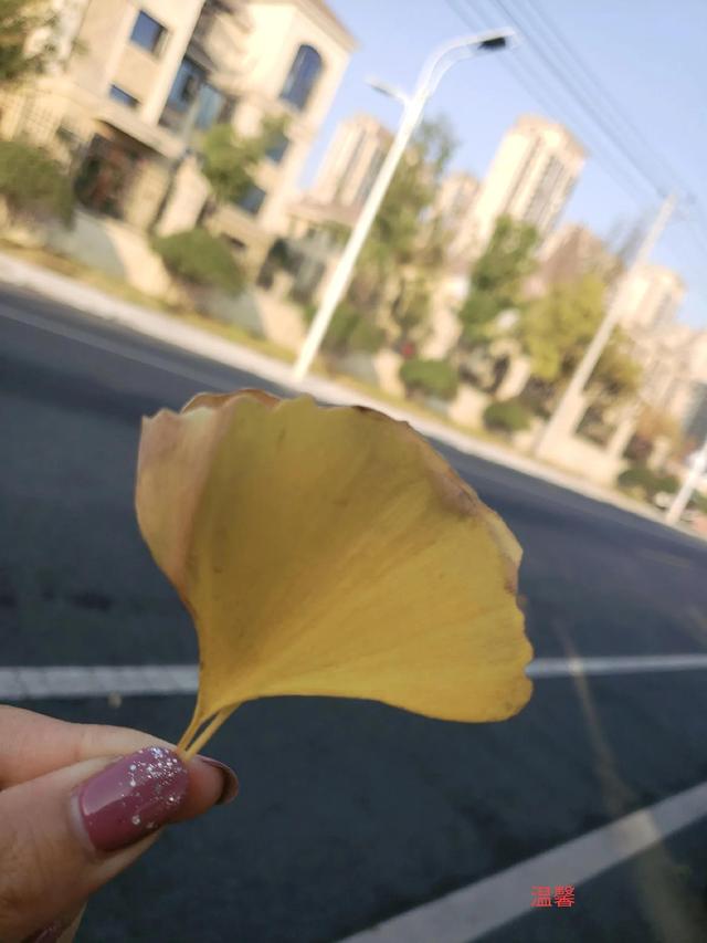 金钱的地位……宝妈的感想