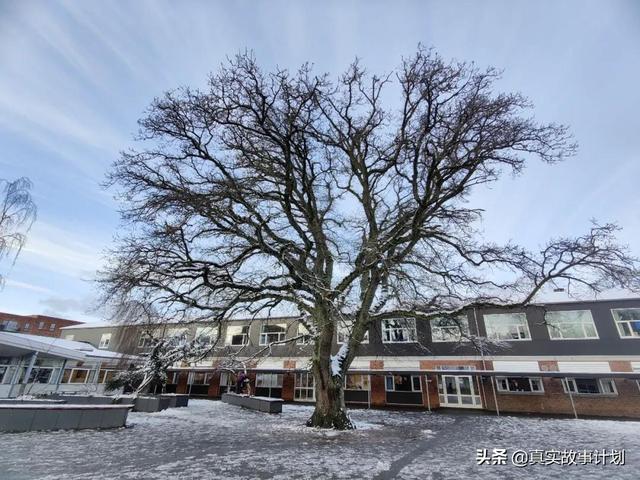 县城育儿妈妈的丹麦一年：将课堂搬到森林，绝口不提成绩