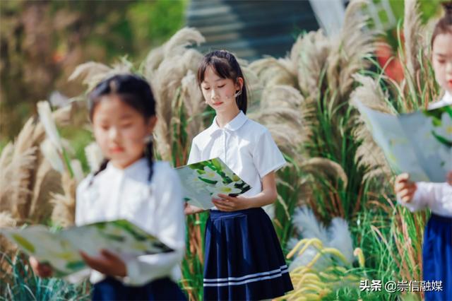 赏一片花海，读一本好书，这个“花园书房”太美妙了！