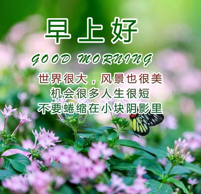 初升的太阳是你的温暖,充满了我的眼睛;微微的晨风,你的关心和爱遍布