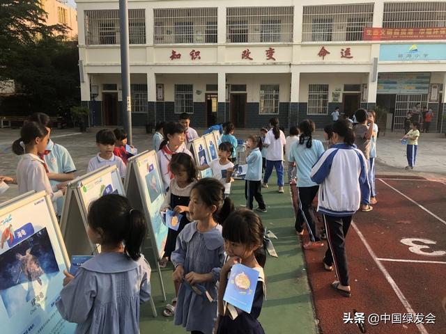 小学生海洋工程的展报