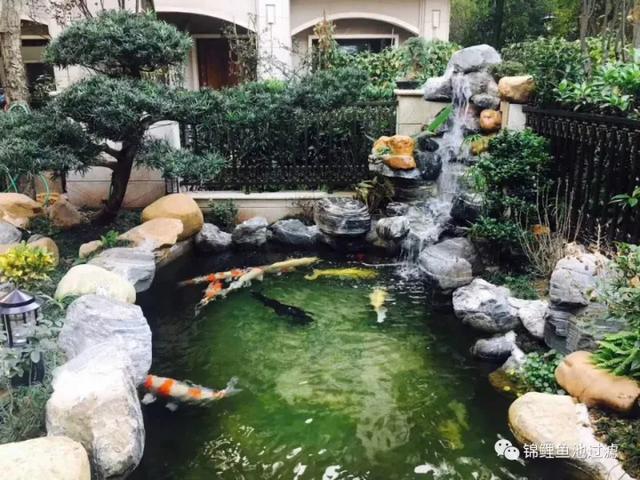 固液过滤机多少钱