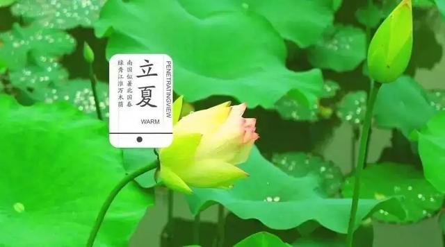 立夏后重在养心，建议多吃“5红菜，3红果”，保护血管，健康过夏