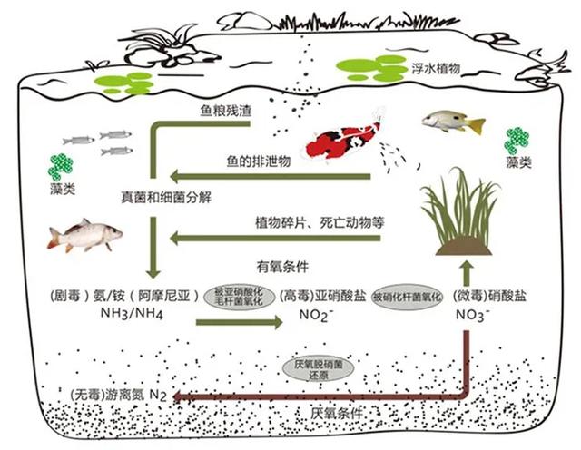 鱼池过滤器