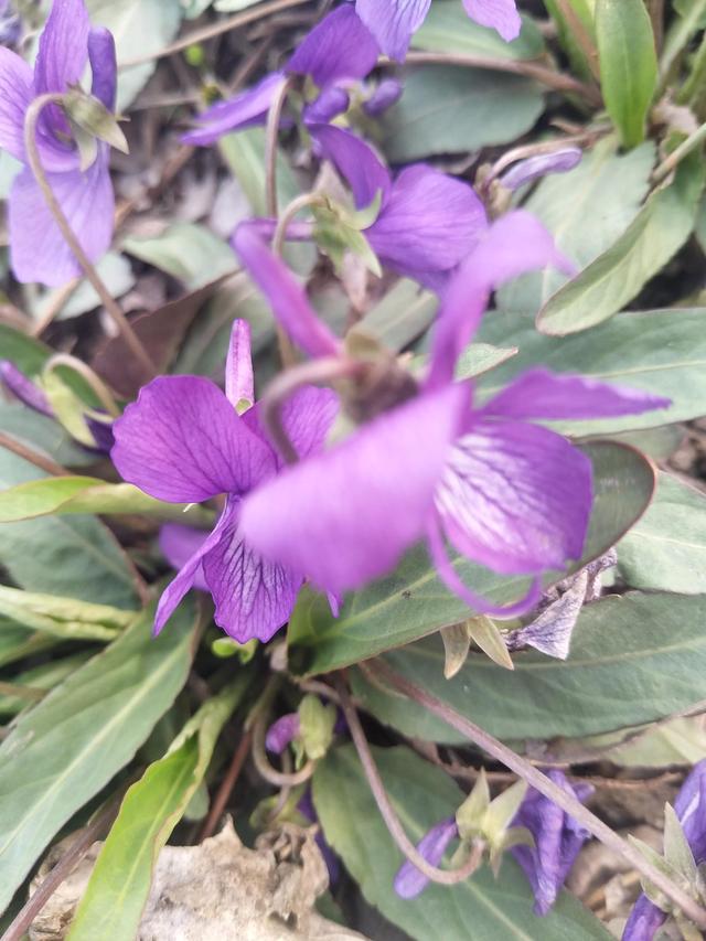 最好的季节