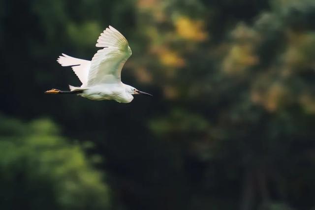 闻则别成语是什么意思