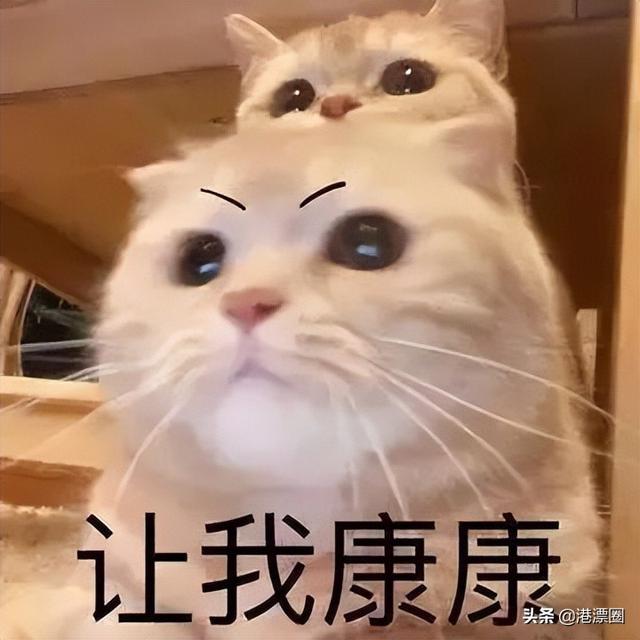 今天这场暴雨，让香港、广东、澳门三地吵起来了