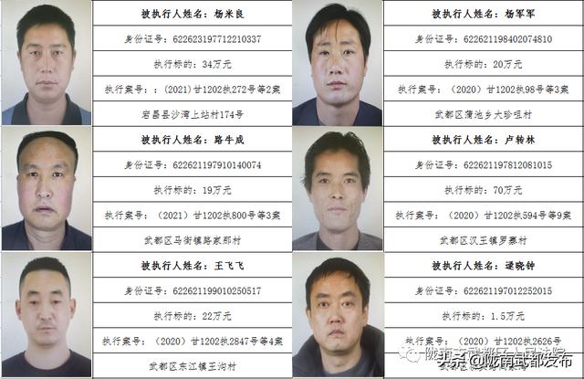 曝光! 武都区法院公布2022年第一批失信被执行人名单（172人）