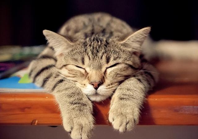 皮肤鸡皮疙瘩变硬好几块