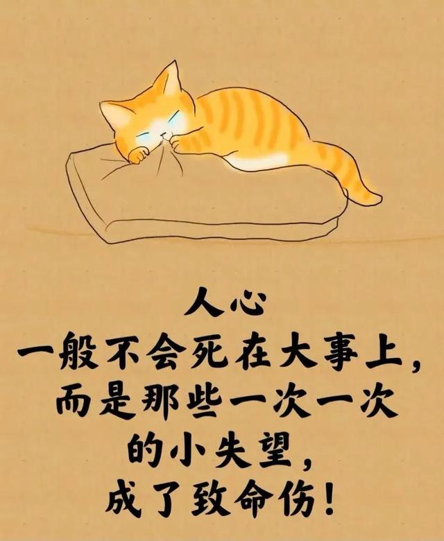 所谓的人生就是⋯