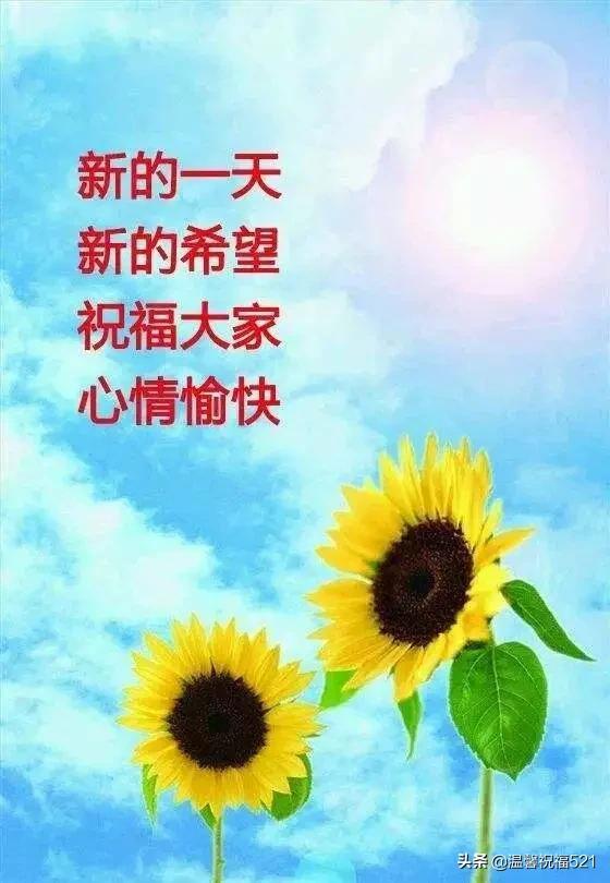 祝福信息