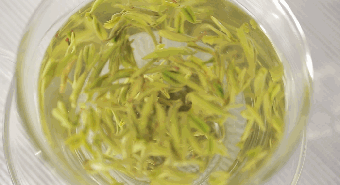 绿茶拥有9大保健功效，但这4类人要注意