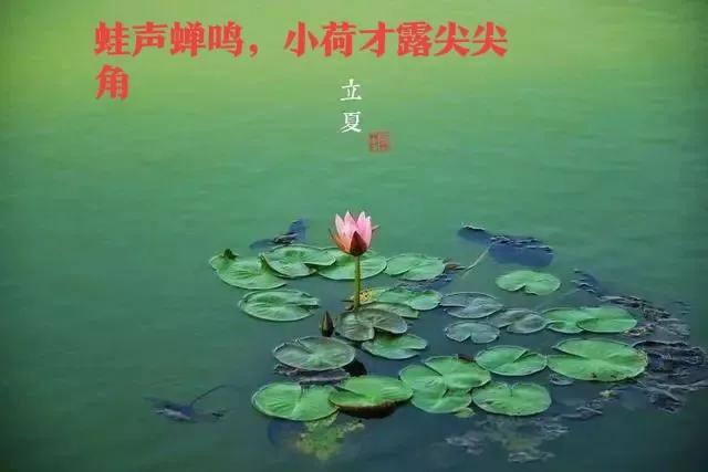 5月5日进入夏季节气--立夏，蛙声蝉鸣，草长莺飞，立夏要注意什么