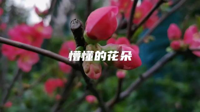 你最喜欢的事？#如何用一句话表示你很富有#