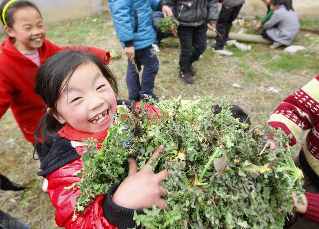 今日民间第一大祭日寒食节，“5习俗3忌讳”老传统不能丢