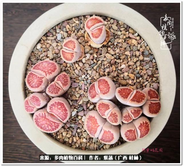 广西河沙洗砂机