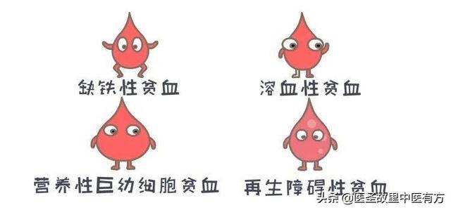 治贫血中医小妙方，再生障碍性、缺铁性、溶血性贫血皆可用