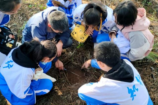 “学英语不如插秧？”人大代表提议取消英语，获大众全力支持