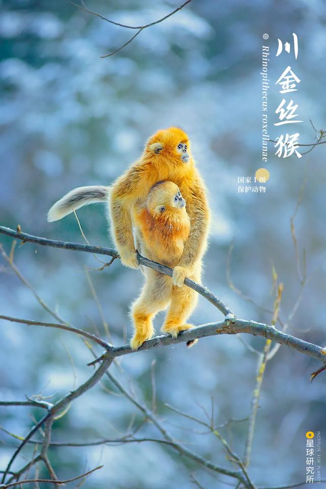 甘肃洗风化砂机哪里卖
