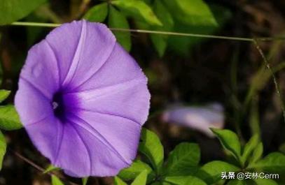 6205345905_d59a564256-160x160