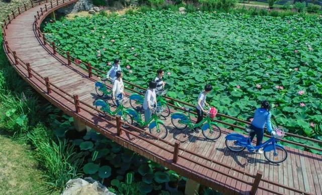 自在榮成旅行篇：甯靜悠然慢生活