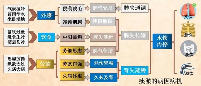 为什么失眠越来越严重？关键是痰热淤积，治疗应从这个方面入手