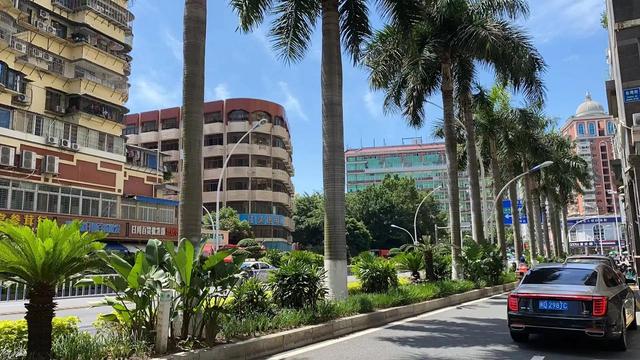 立夏公德已圆满