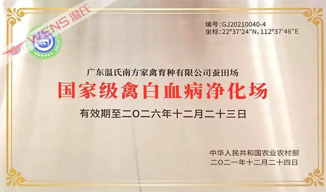 温疫公司在哪里下载（温疫公司最新版）