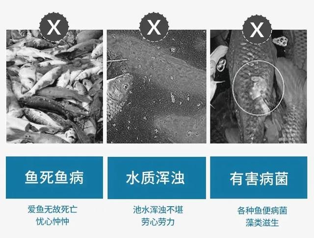 鱼缸转鼓过滤机