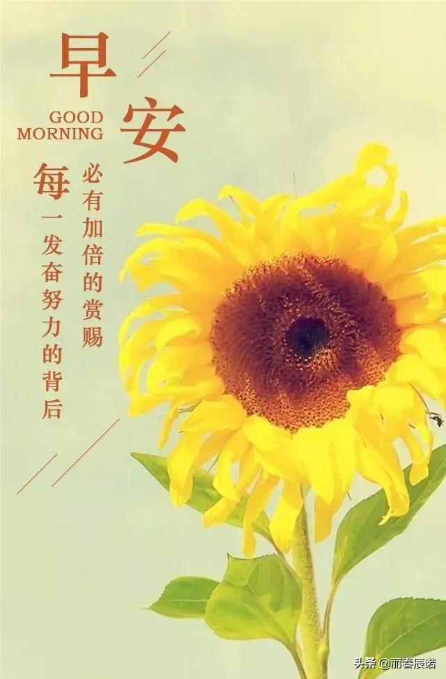 藏头小诗／五四青年，精神永存