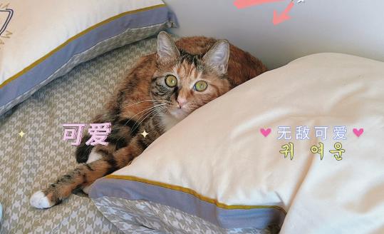 海南螺旋洗砂机报价