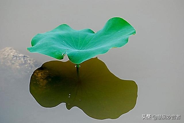 《清净是福》